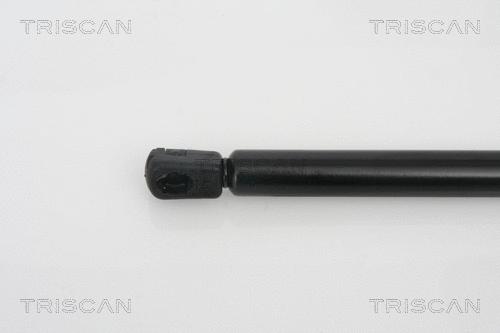 Gas Spring, boot/cargo area