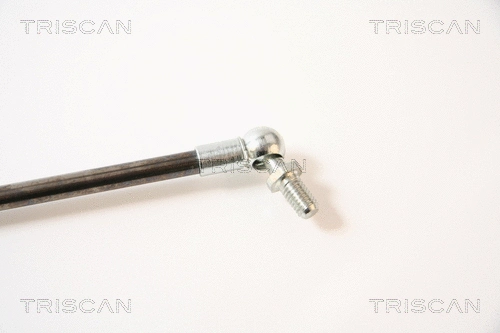 Gas Spring, boot/cargo area (8710 40213)