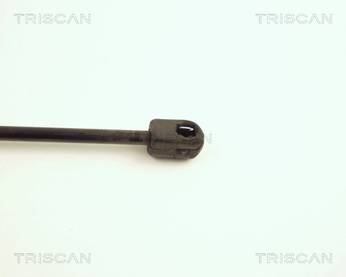 Gas Spring, boot/cargo area