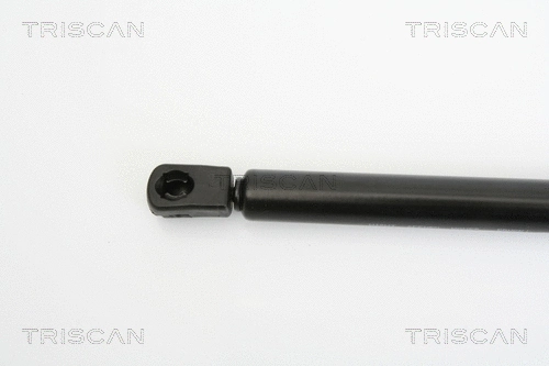 Gas Spring, boot/cargo area