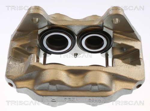 Brake Caliper (8175 13118)