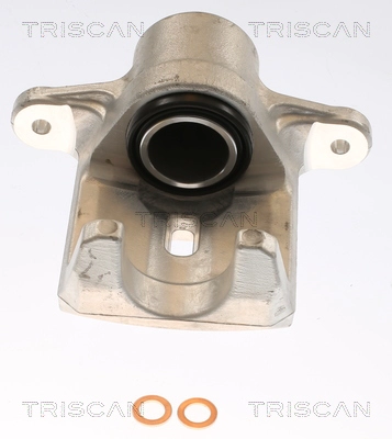Brake Caliper (8175 68206)