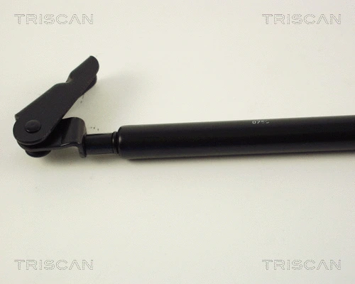 Gas Spring, boot/cargo area