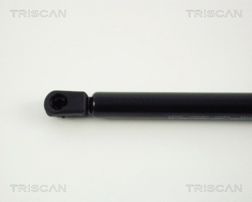 Gas Spring, boot/cargo area