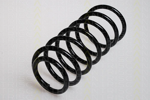 Suspension Spring (8750 29019)