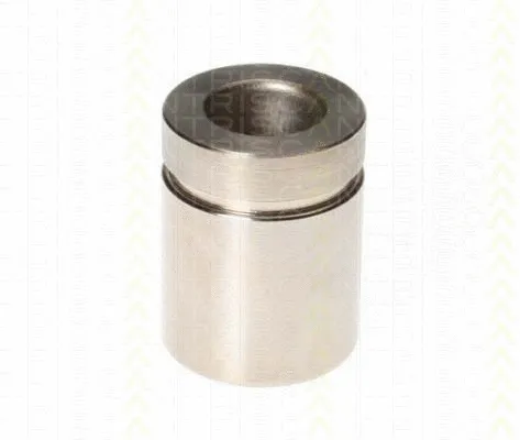 Piston, brake caliper (8170 233519)