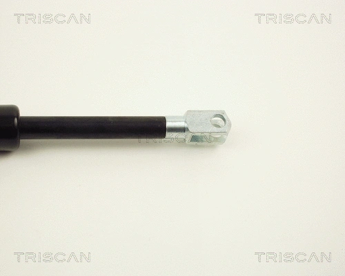 Gas Spring, boot/cargo area