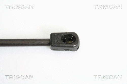 Gas Spring, boot/cargo area