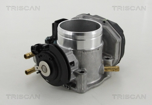 Throttle Body (8820 29021)