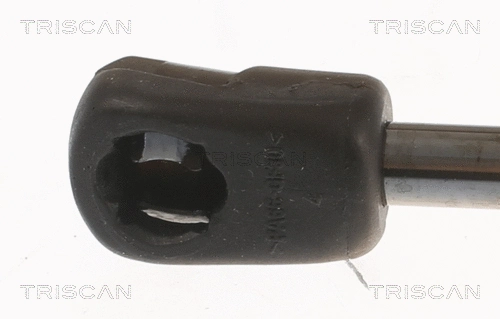 Gas Spring, boot/cargo area