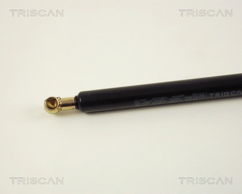 Gas Spring, boot/cargo area