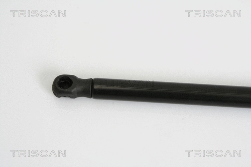 Gas Spring, boot/cargo area