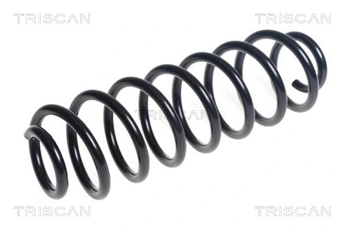 Suspension Spring (8750 16181)