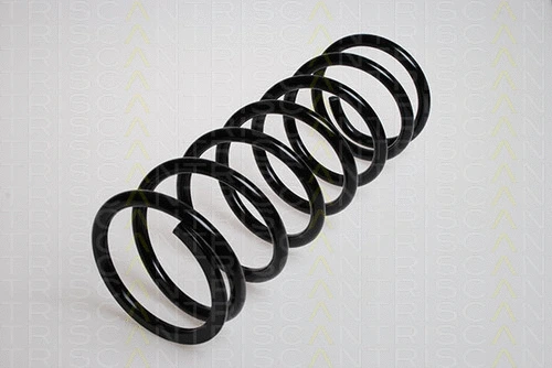 Suspension Spring (8750 1713)