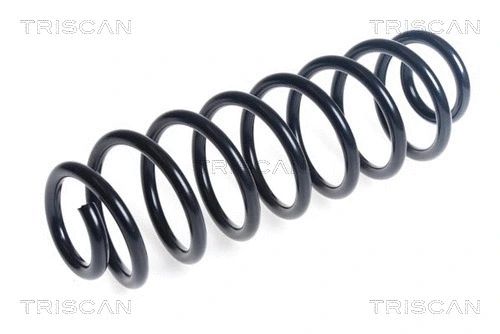 Suspension Spring (8750 16180)