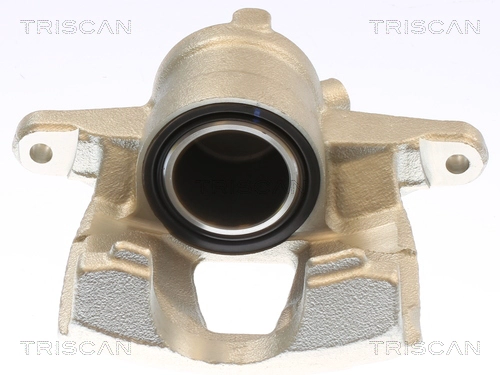 Brake Caliper (8175 10130)