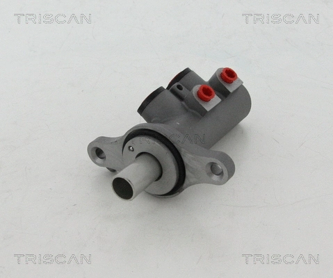 Brake Master Cylinder (8130 10122)