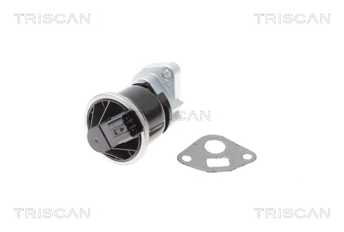 EGR Valve (8813 40013)