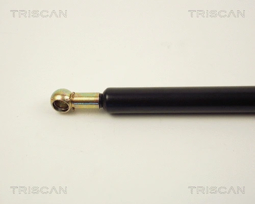 Gas Spring, boot/cargo area