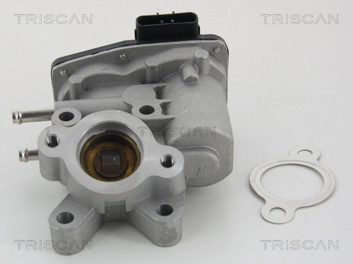EGR Valve