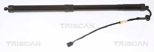 Gas Spring, boot/cargo area (8710 20303)