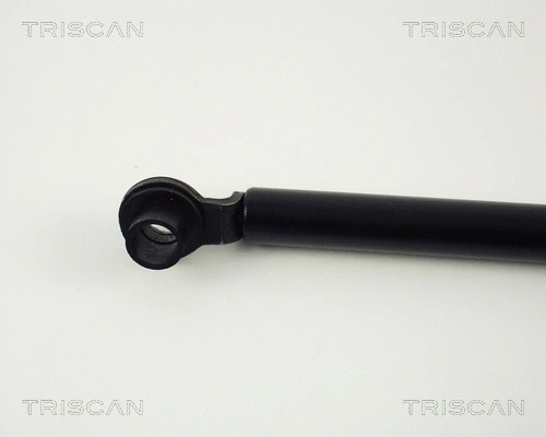 Gas Spring, boot/cargo area