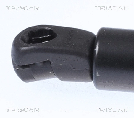 Gas Spring, boot/cargo area