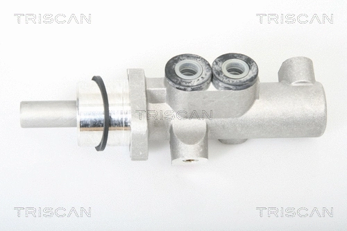Brake Master Cylinder (8130 24147)