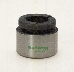 Piston, brake caliper (8170 233624)