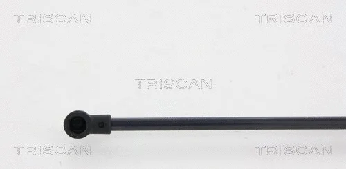 Gas Spring, boot/cargo area