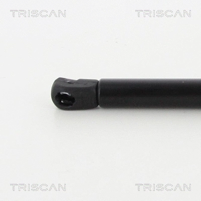 Gas Spring, boot/cargo area