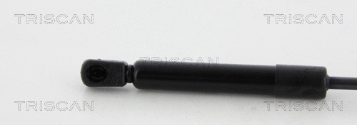 Gas Spring, boot/cargo area