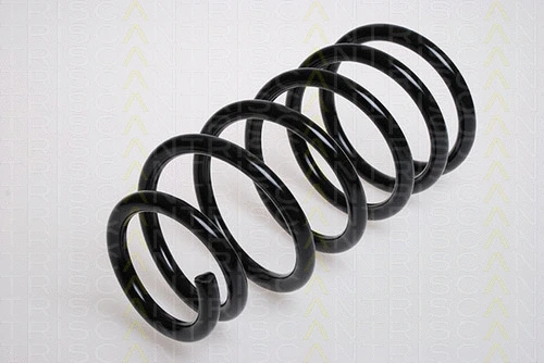 Suspension Spring (8750 2538)