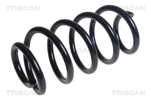 Suspension Spring (8750 16159)