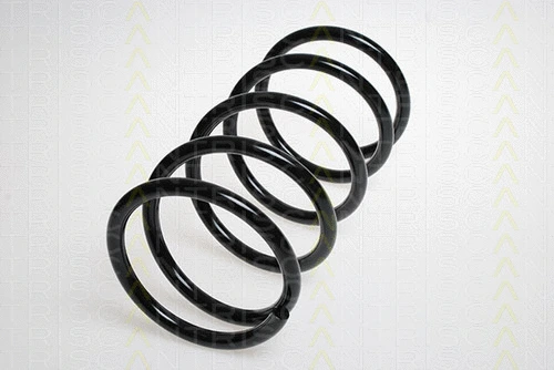 Suspension Spring (8750 1844)