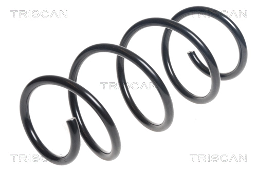 Suspension Spring (8750 29395)