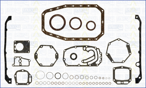Gasket Kit, crankcase (595-2560)