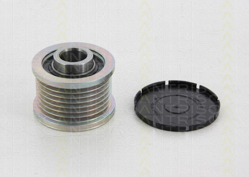 Alternator Freewheel Clutch (8641 254007)