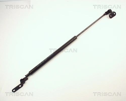 Gas Spring, boot/cargo area (8710 14202)
