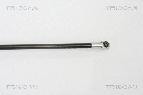 Gas Spring, boot/cargo area