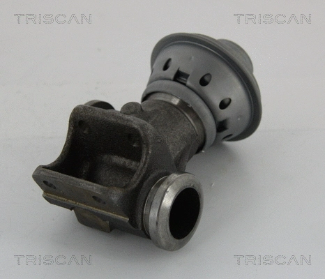 EGR Valve (8813 28013)