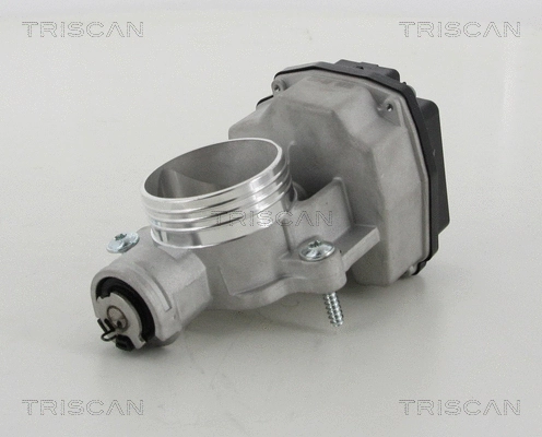 Throttle Body (8820 10001)
