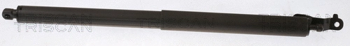Gas Spring, boot/cargo area (8710 23307)