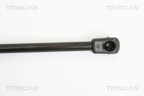 Gas Spring, boot/cargo area