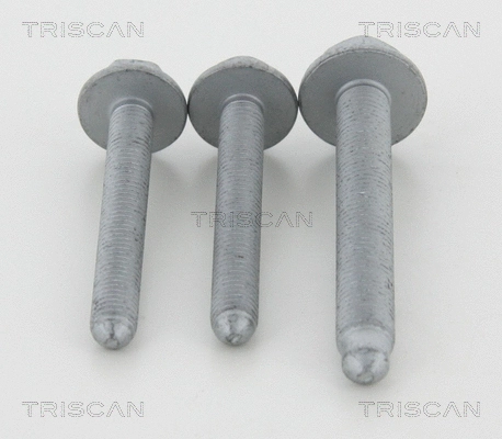 Mounting and Bolting Kit, control/trailing arm (8500 298015)