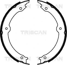 Brake Shoe Set, parking brake (8100 13046)