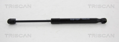 Gas Spring, boot/cargo area (8710 112005)