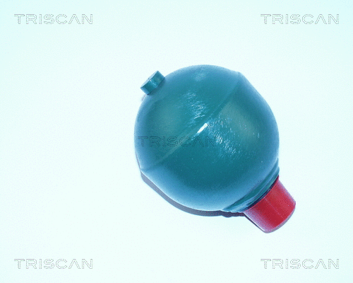 Pressure Accumulator, pneumatic suspension (8760 38301)