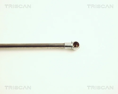 Gas Spring, boot/cargo area