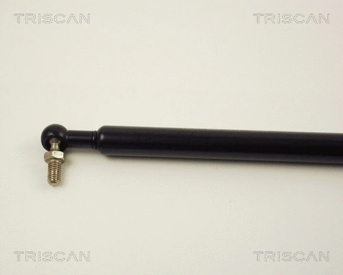 Gas Spring, boot/cargo area